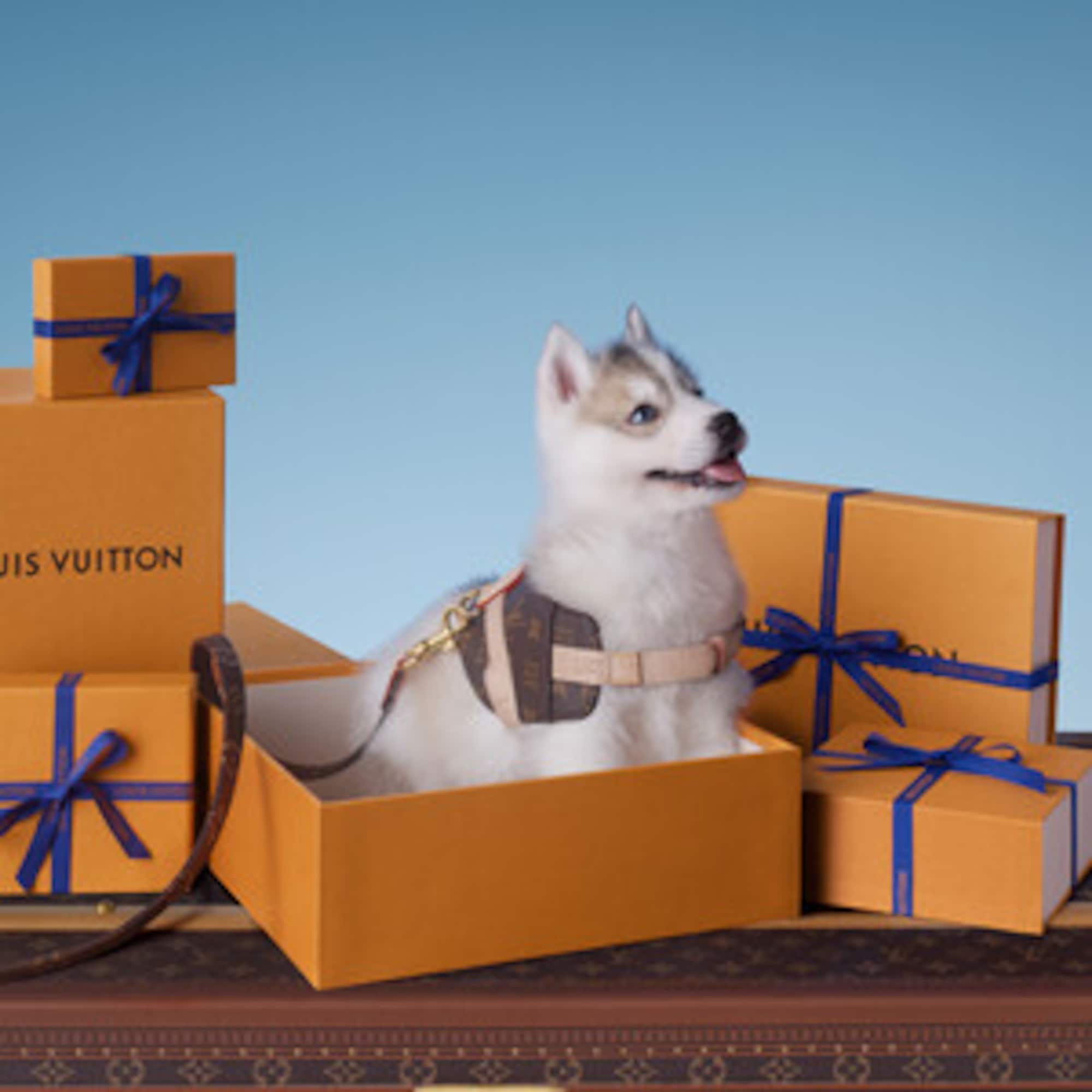 LOUIS VUITTON　限定品 気球デザイン キーリング　最終のお値下げです 夢を載せた気球 Louis Vuitton キーホルダー・LV ドリーム