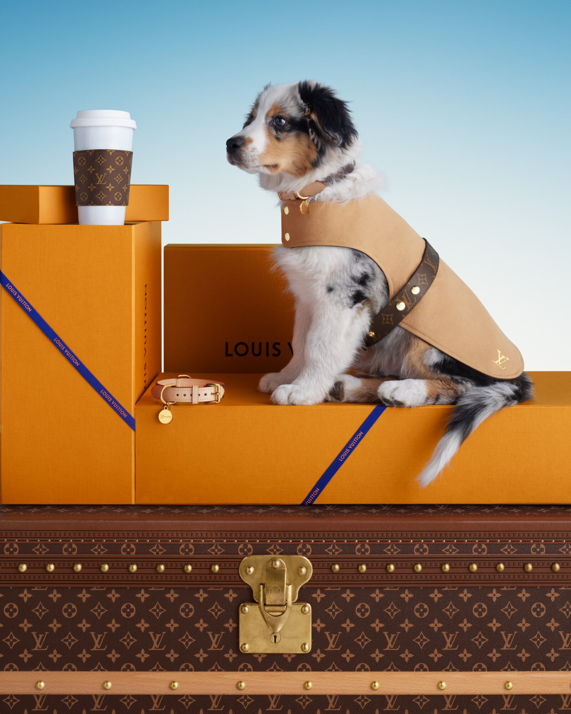 【新品同様多数】現行品 限定品 20点 ルイヴィトン ギフトボックス 保存袋 新品同様多数】現行品 限定品 20点 ルイヴィトン ギフトボックス 保存袋