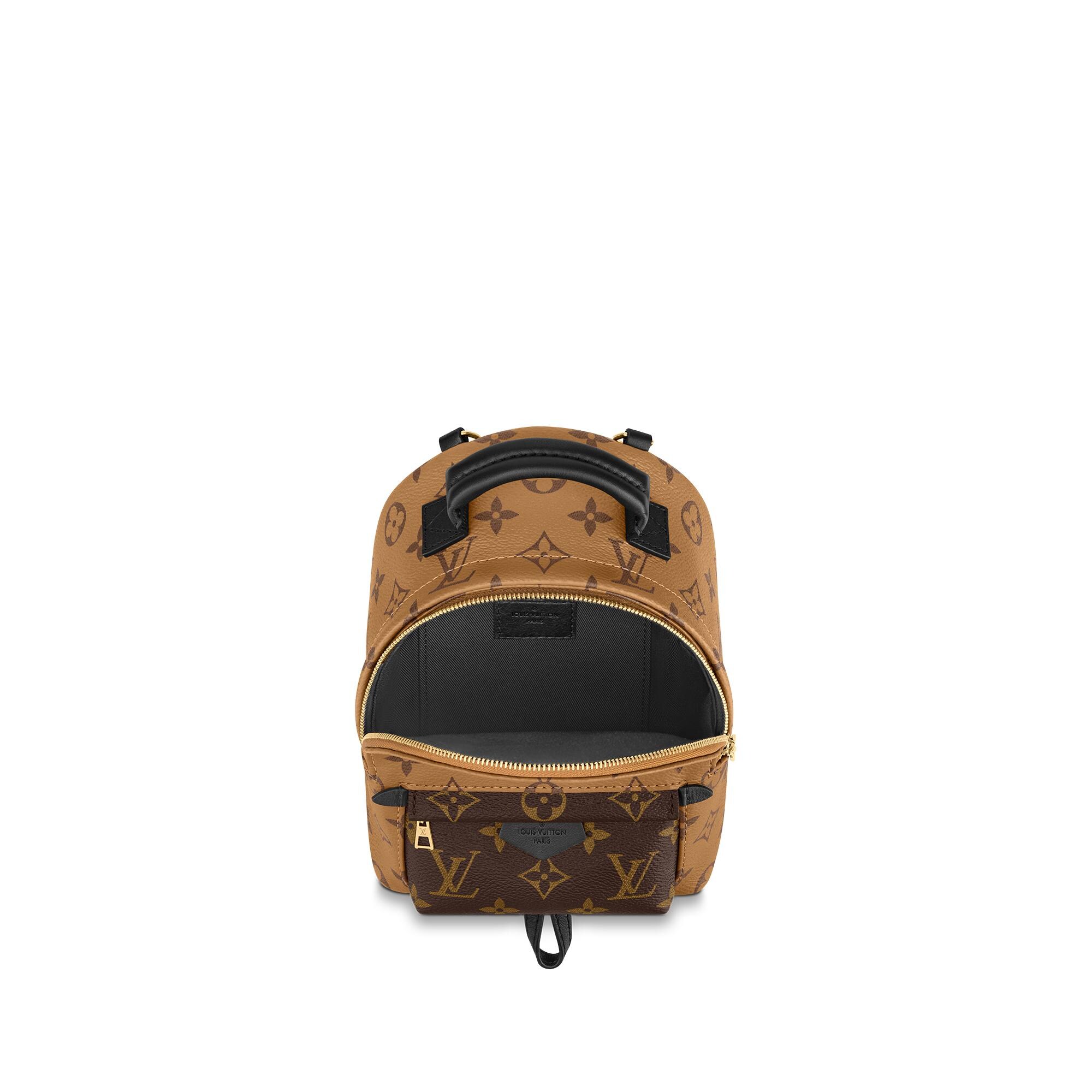 louis vuitton palm springs mini