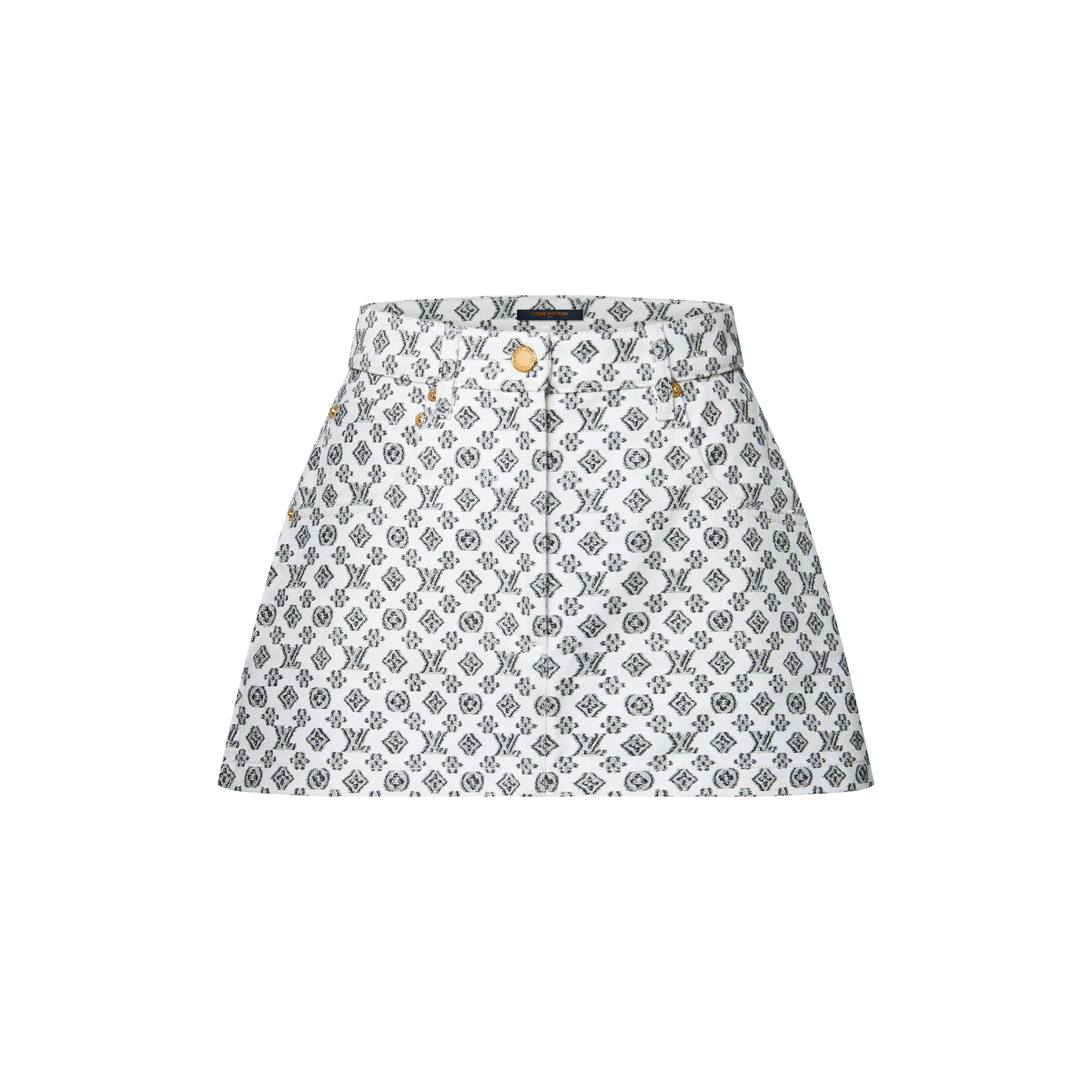LOUIS VUITTON モノグラムミニスカート ブラーリィ モノグラム ミニ  