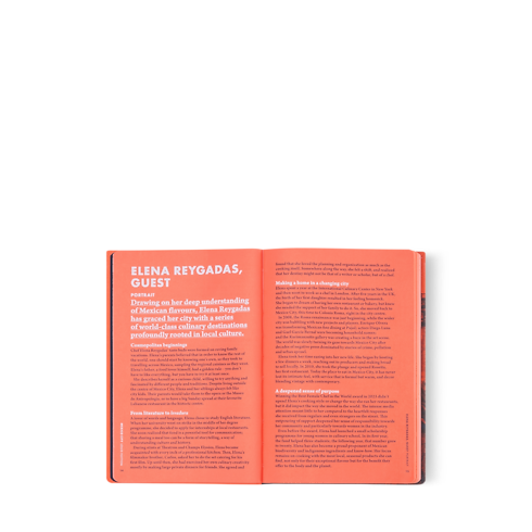 シティ・ガイド メキシコ 英語版 トランク、トラベル & ホーム 書籍 & ステーショナリー (製品ズーム)