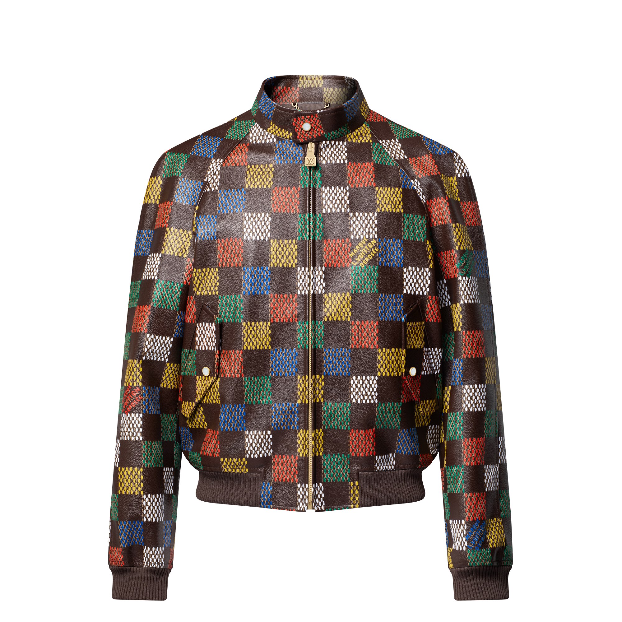 ダミエ レザーブルゾン  メンズ ウェア(洋服) (製品ズーム)