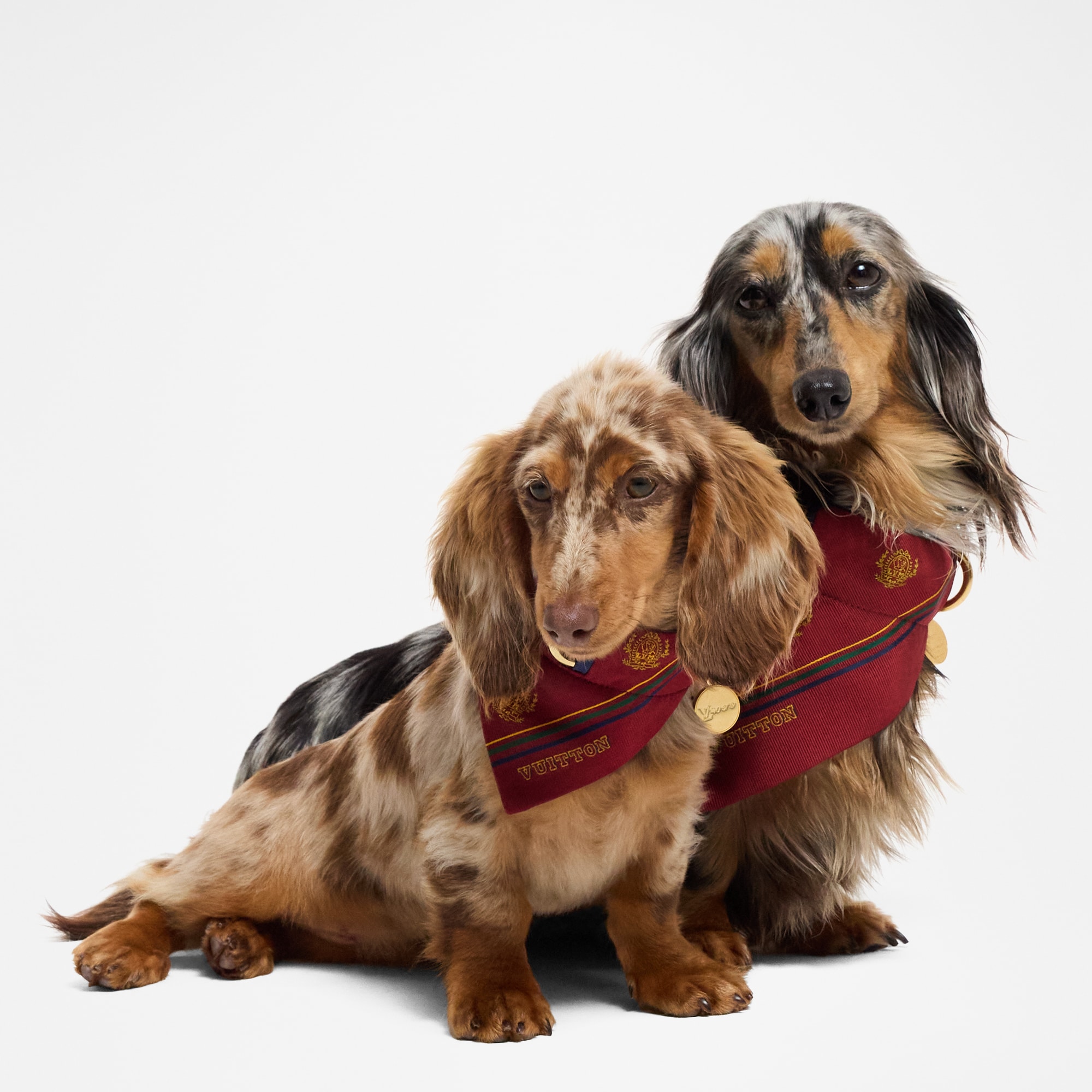 ドッグ バンダナ MM  トランク、トラベル & ホーム ペットアクセサリー (製品ズーム)