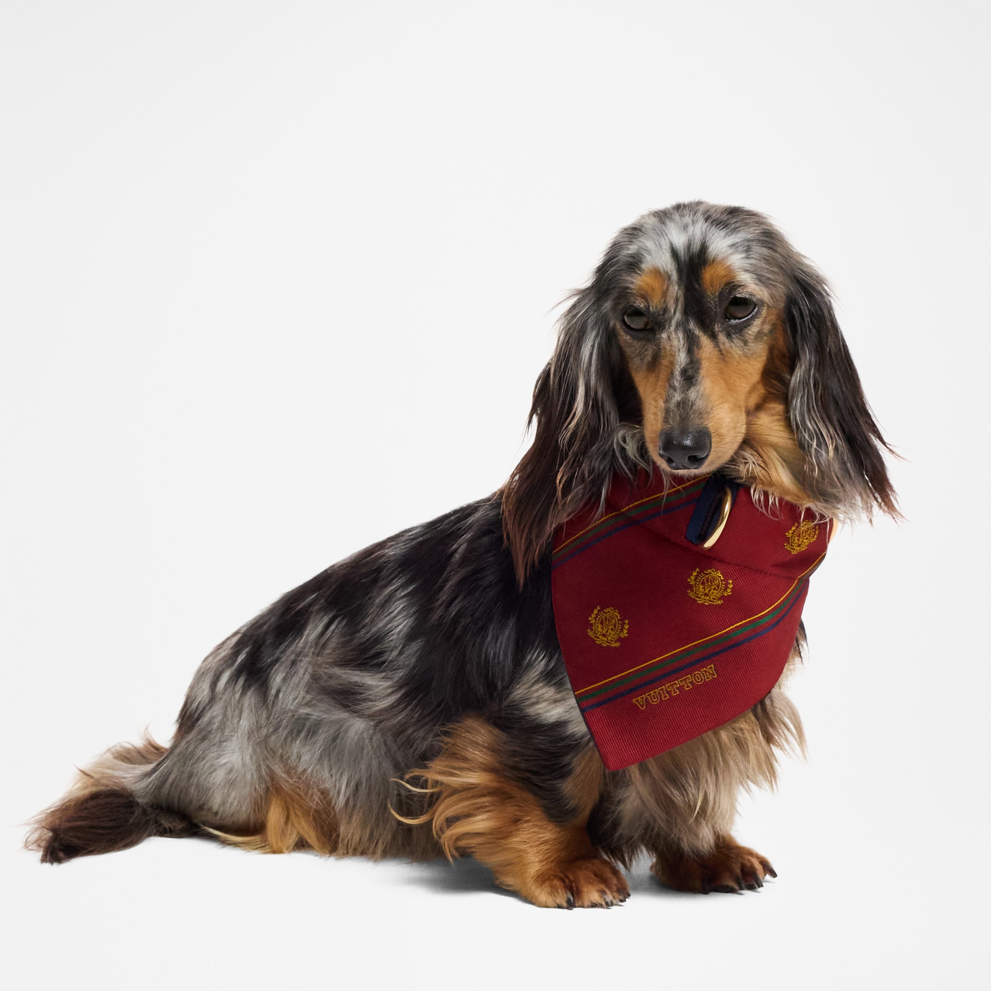 ドッグ バンダナ MM  トランク、トラベル & ホーム ペットアクセサリー (製品ズーム)