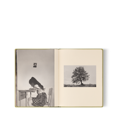 ファッション・アイ アルメニア トランク、トラベル & ホーム 書籍 & ステーショナリー (製品ズーム)