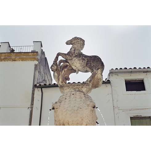 ファッション・アイ コルドバ トランク、トラベル & ホーム 書籍 & ステーショナリー (製品ズーム)