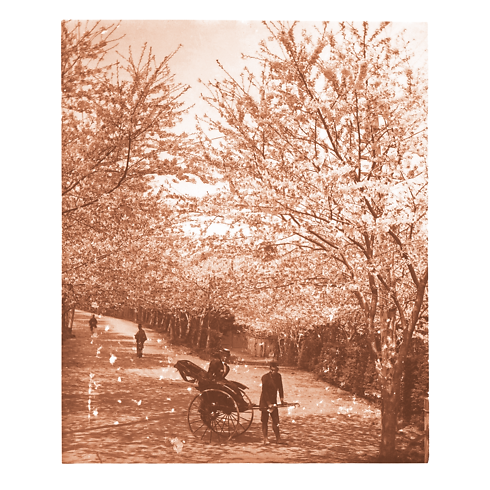 ファッション・アイ ジャパン トランク、トラベル & ホーム 書籍 & ステーショナリー (製品ズーム)