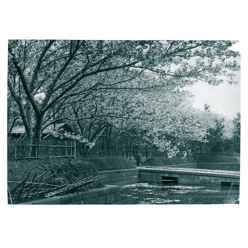 ファッション・アイ ジャパン トランク、トラベル & ホーム 書籍 & ステーショナリー (製品ズーム)