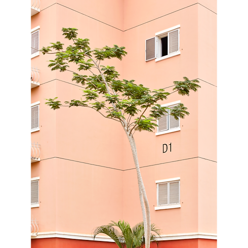 ファッション・アイ キランバ トランク、トラベル & ホーム 書籍 & ステーショナリー (製品ズーム)