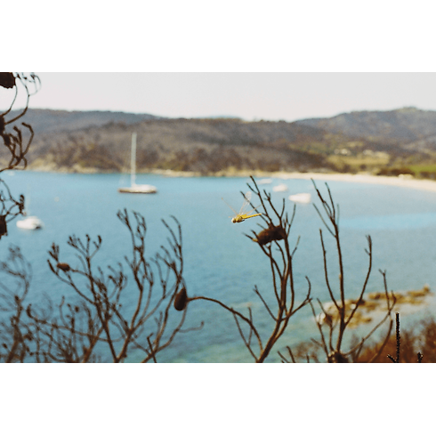 ファッション・アイ サントロペ トランク、トラベル & ホーム 書籍 & ステーショナリー (製品ズーム)