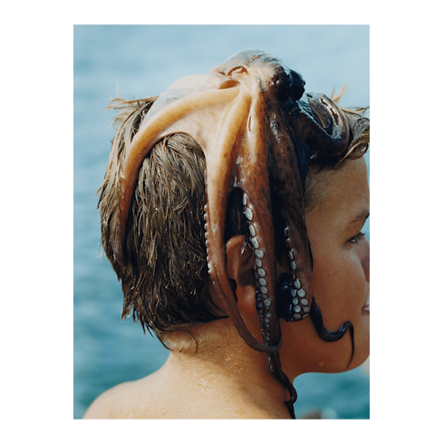 ファッション・アイ サントロペ トランク、トラベル & ホーム 書籍 & ステーショナリー (製品ズーム)