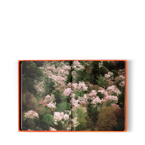 ファッション・アイ シルクロード トランク、トラベル & ホーム 書籍 & ステーショナリー (製品ズーム)