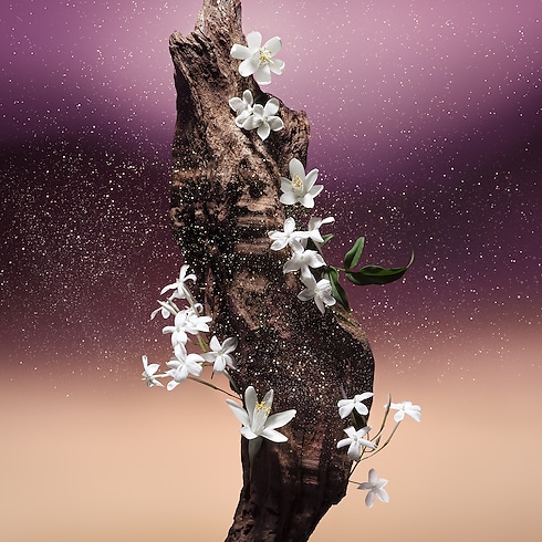 フルール・ドュ・デゼール オードゥ パルファン フレグランス&ビューティー フレグランス コレクション (香水) (製品ズーム)