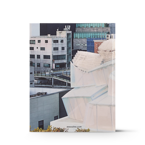 ルイ・ヴィトン スキン ソウル 英語版 トランク、トラベル & ホーム 書籍 & ステーショナリー (製品ズーム)