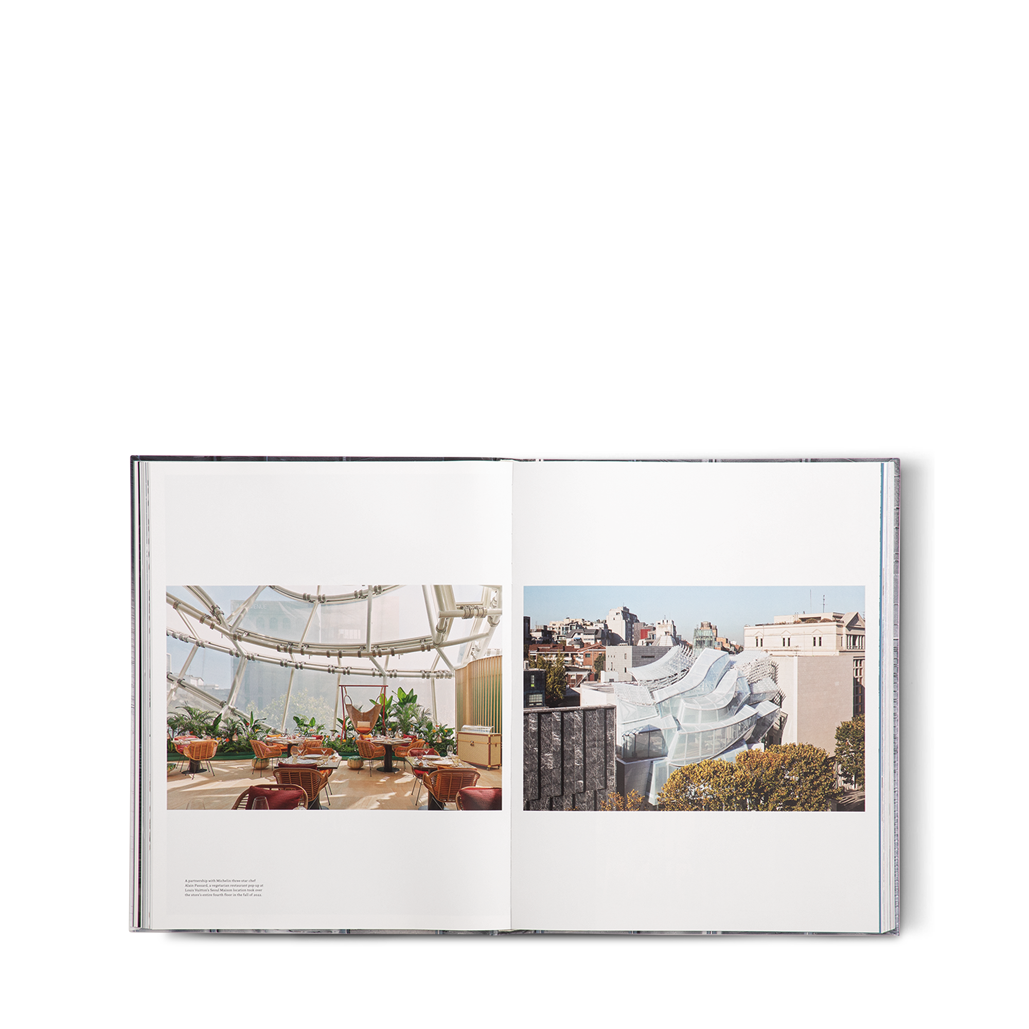 ルイ･ヴィトン スキン シンガポール 英語版  トランク、トラベル & ホーム 書籍 & ステーショナリー (製品ズーム)