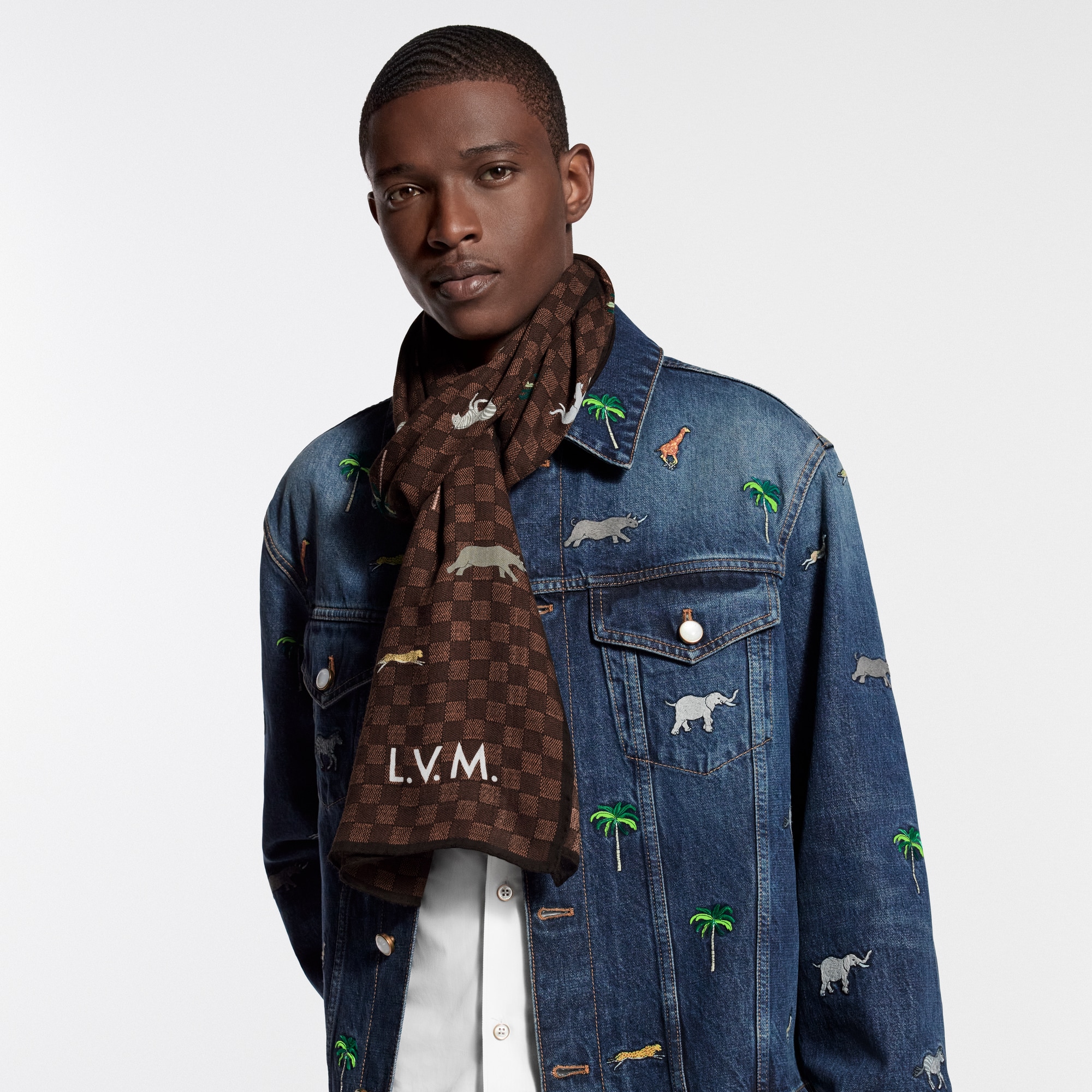 LV × ザ・ダージリン リミテッド ストール・ダミエ S00｜ルイ 