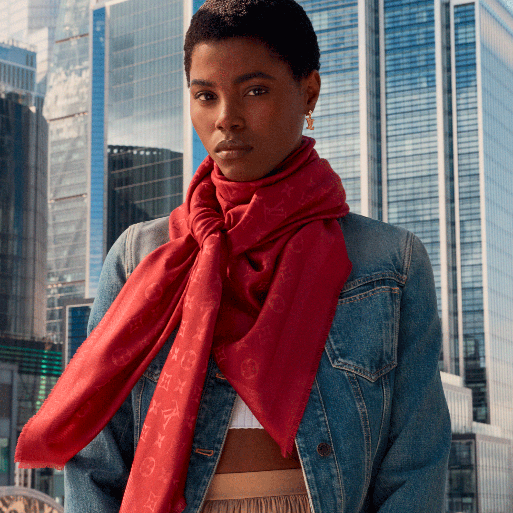 ショール･モノグラム S00 ウィメンズ アクセサリー (製品ズーム)