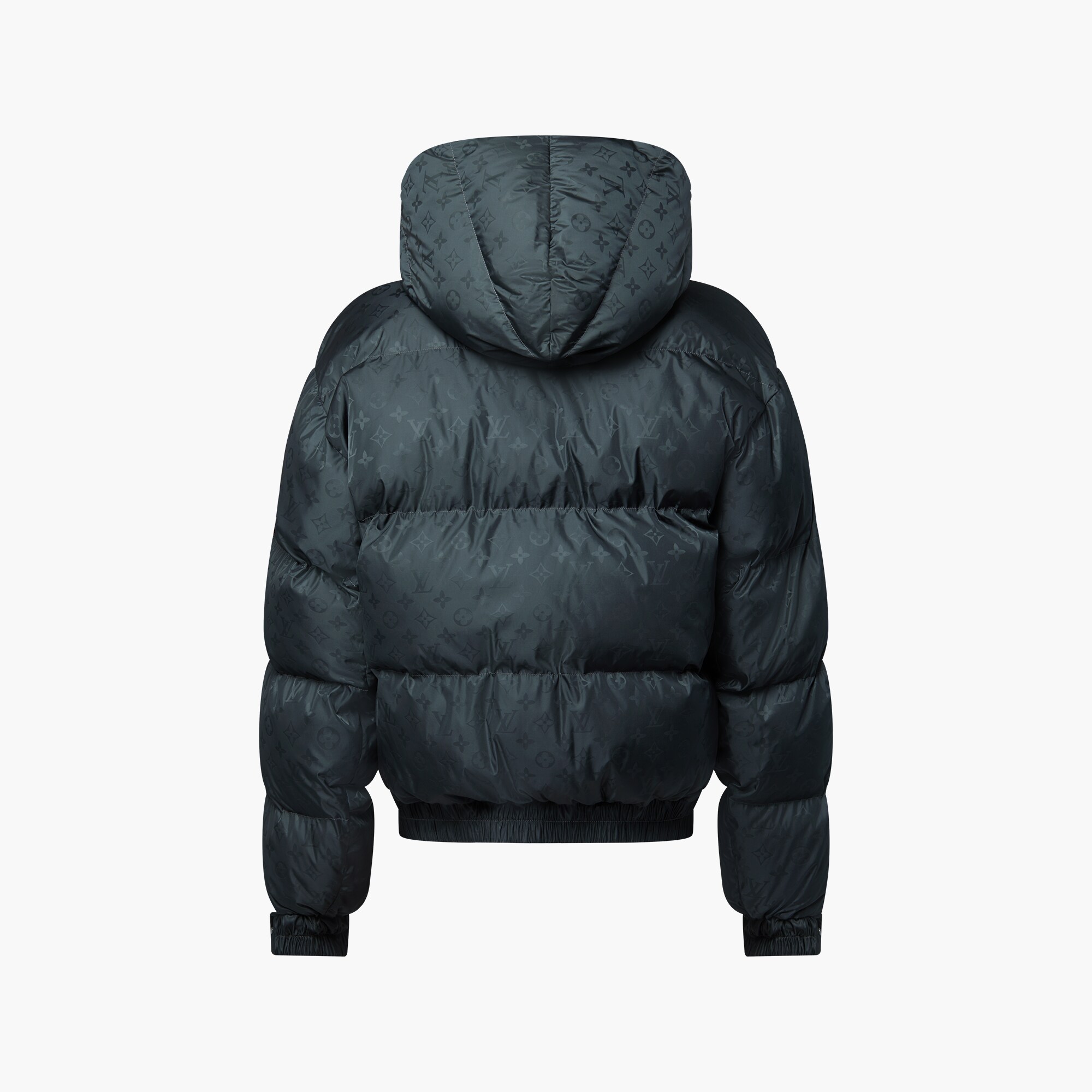 モノグラムダウンジャケット ｜ルイ・ヴィトン 公式サイト - 1AGIRF 