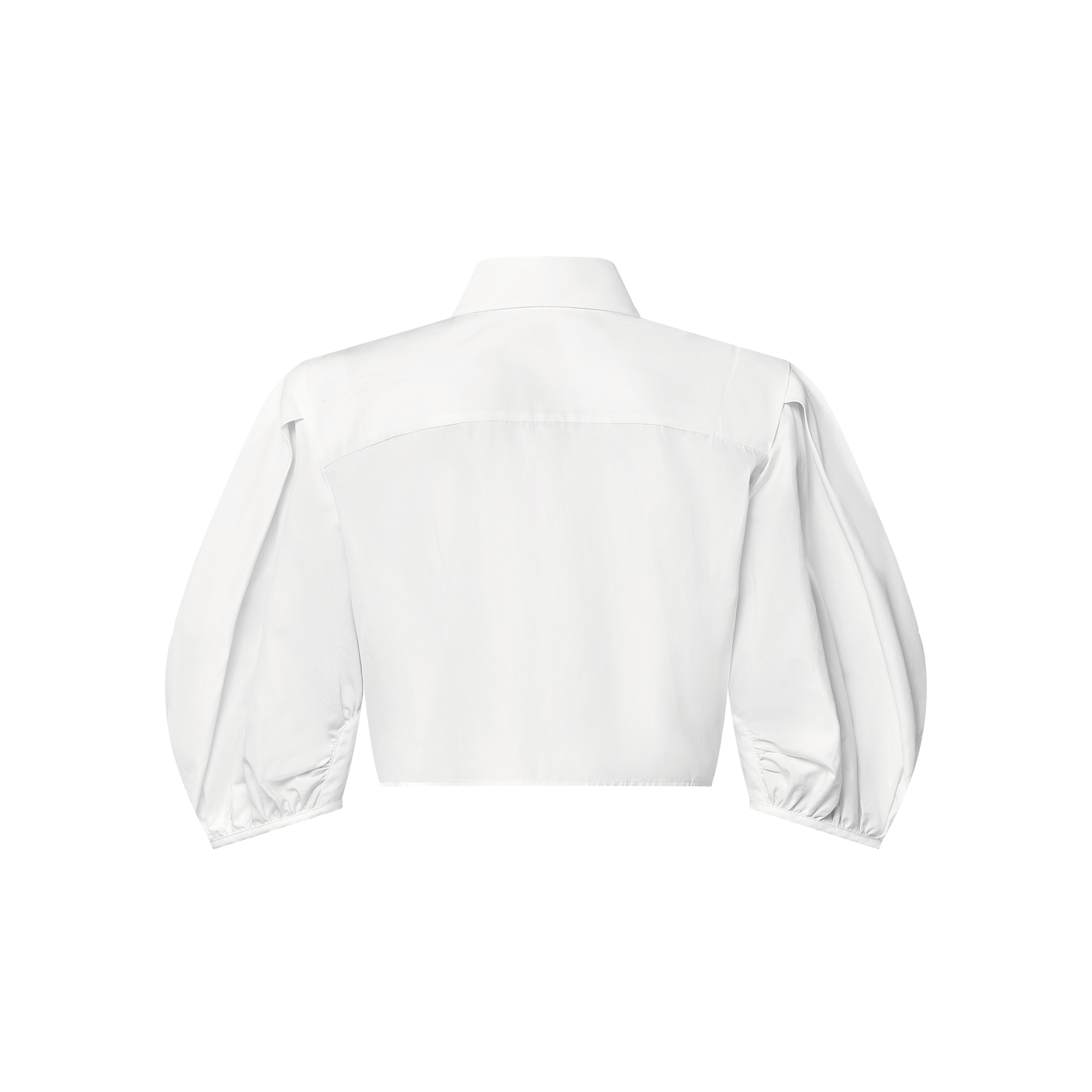 パフスリーブ ブラウス  ウィメンズ ウェア(洋服) (製品ズーム)