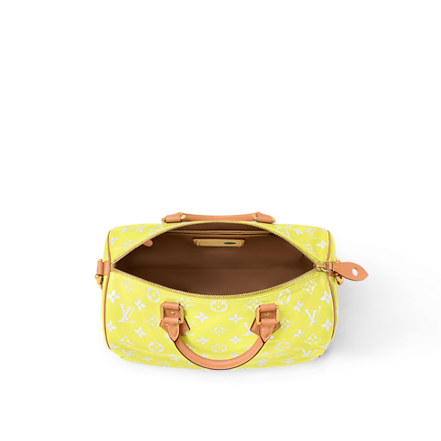 スピーディ P9 バンドリエール 40 H40 Les Extraordinaires(レ・ゼクストラオーディネル) レザーグッズ&トラベル (製品ズーム)