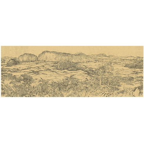 トラベルブック キューバ トランク、トラベル & ホーム 書籍 & ステーショナリー (製品ズーム)