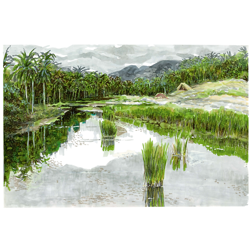 トラベルブック キューバ トランク、トラベル & ホーム 書籍 & ステーショナリー (製品ズーム)