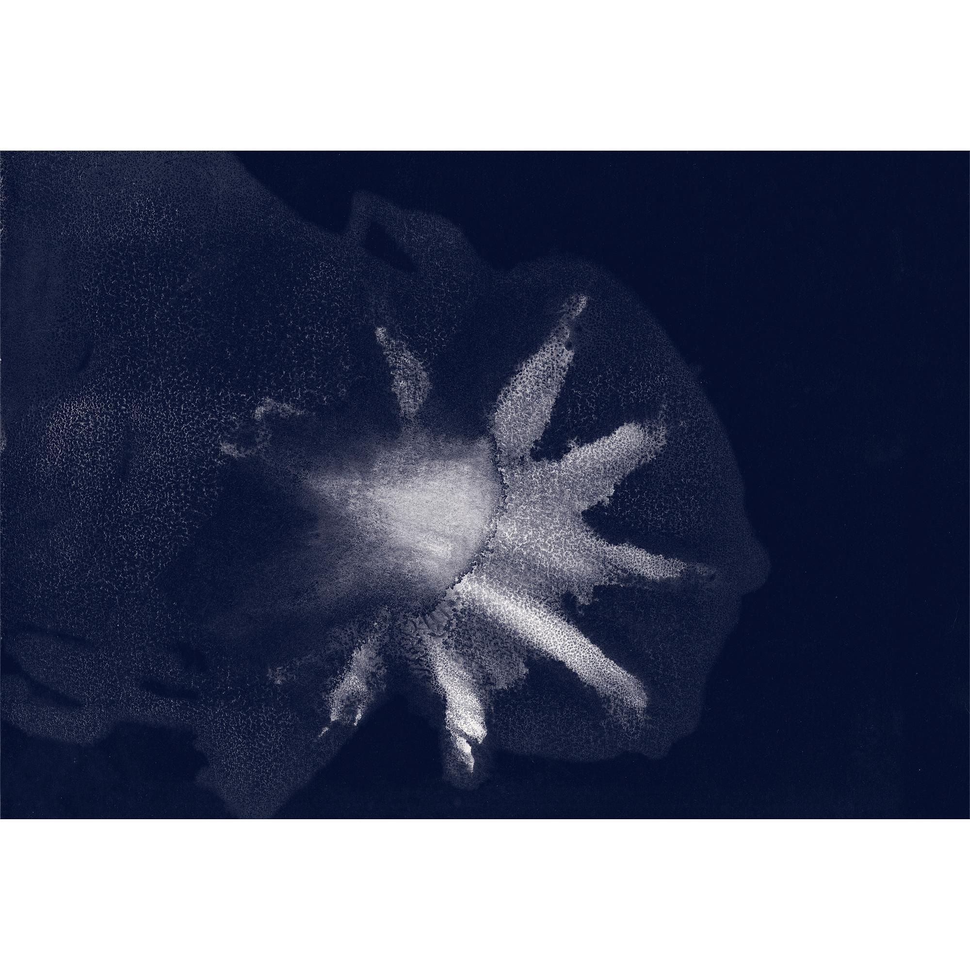 トラベルブック メディテレーニアン コレクターエディション  トランク、トラベル & ホーム 書籍 & ステーショナリー (製品ズーム)