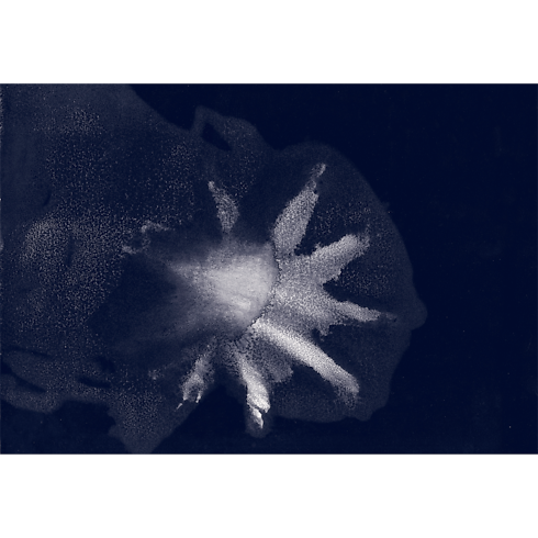 トラベルブック メディテレーニアン コレクターエディション トランク、トラベル & ホーム 書籍 & ステーショナリー (製品ズーム)