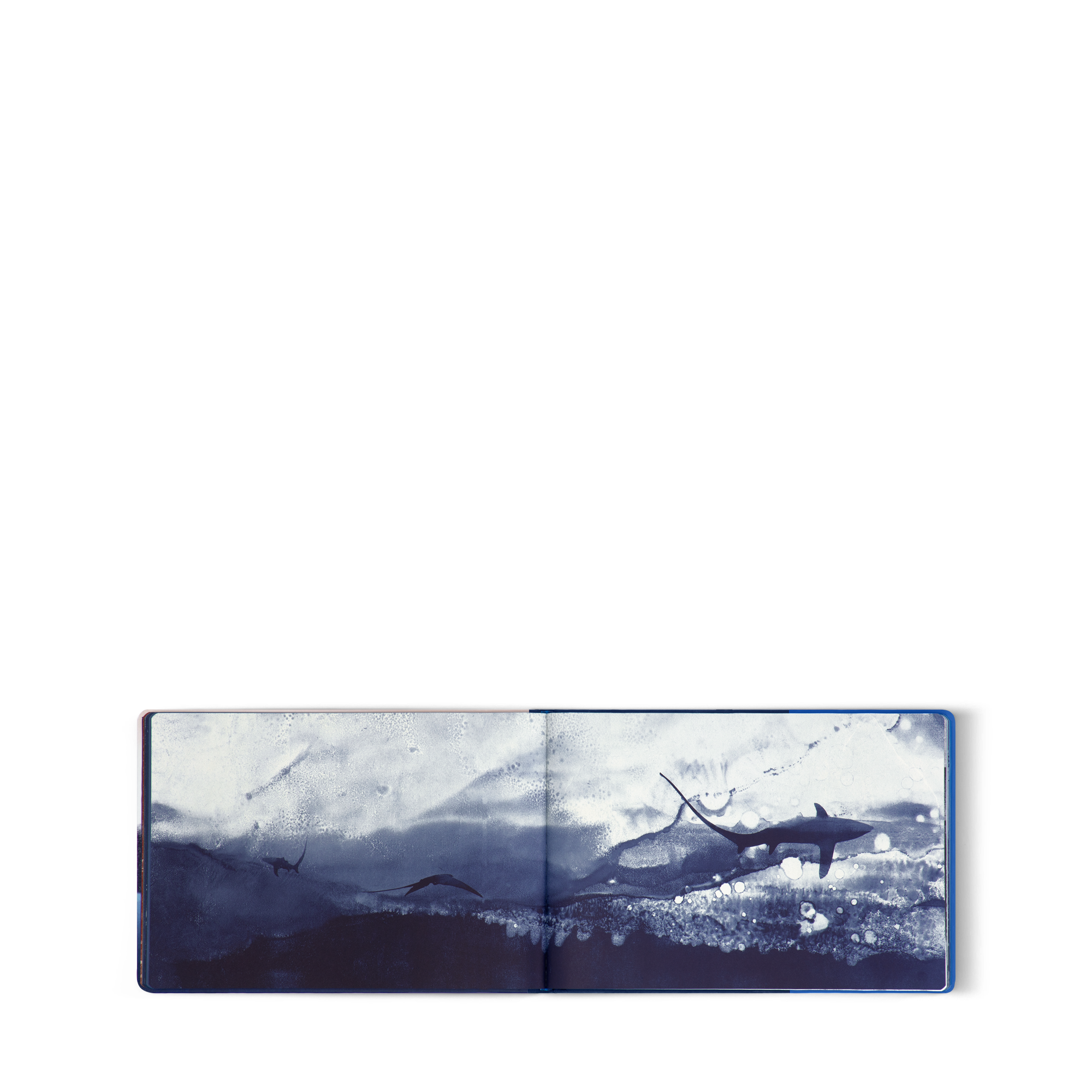 トラベルブック メディテレーニアン コレクターエディション  トランク、トラベル & ホーム 書籍 & ステーショナリー (製品ズーム)