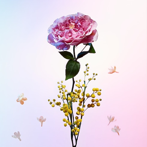 ウール・ダプサンス トラベルスプレー レフィル フレグランス&ビューティー フレグランス コレクション (香水) (製品ズーム)