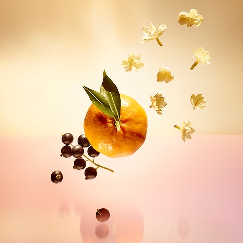 ルジュール・スレーヴ トラベルスプレー レフィル フレグランス&ビューティー フレグランス コレクション (香水) (製品ズーム)