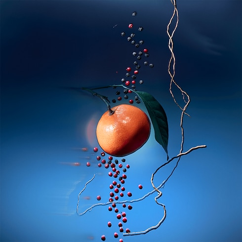 メテオール トラベルスプレー レフィル フレグランス&ビューティー フレグランス コレクション (香水) (製品ズーム)