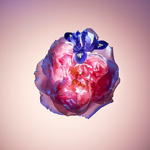 ローズ・デ・ヴァン トラベルスプレー レフィル フレグランス&ビューティー フレグランス コレクション (香水) (製品ズーム)